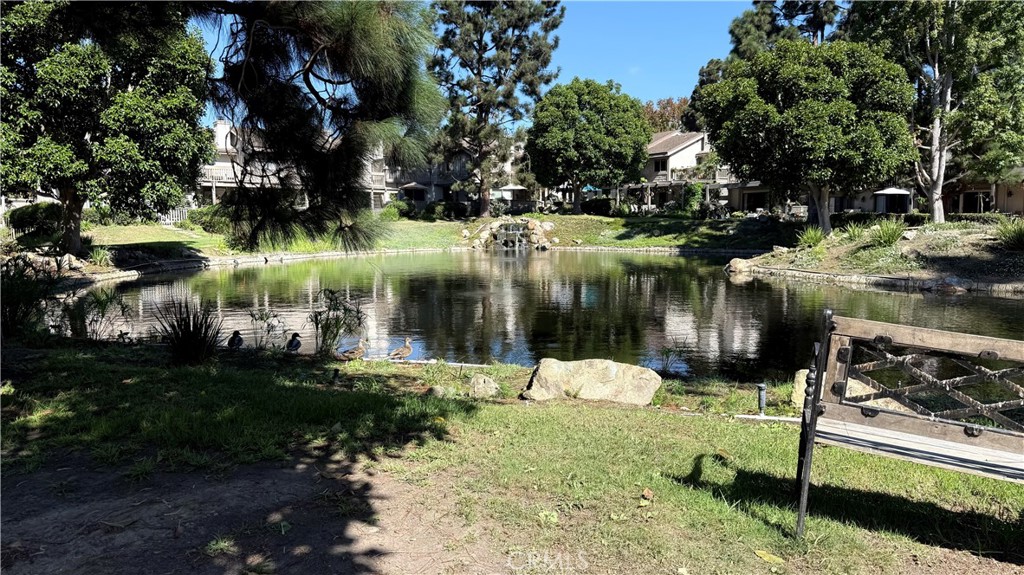 27125 Mill Pond, Dana Point CA 92624 - photo 52