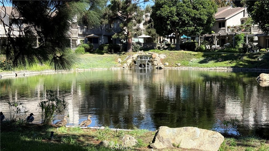 27125 Mill Pond, Dana Point CA 92624 - photo 57