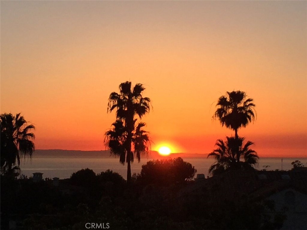 3 Wightman Court 14, Dana Point CA 92629 - photo 1