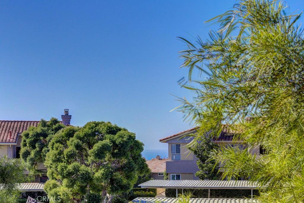Ocean View! - 30 Corniche Drive E, Dana Point CA 92629 - photo 1