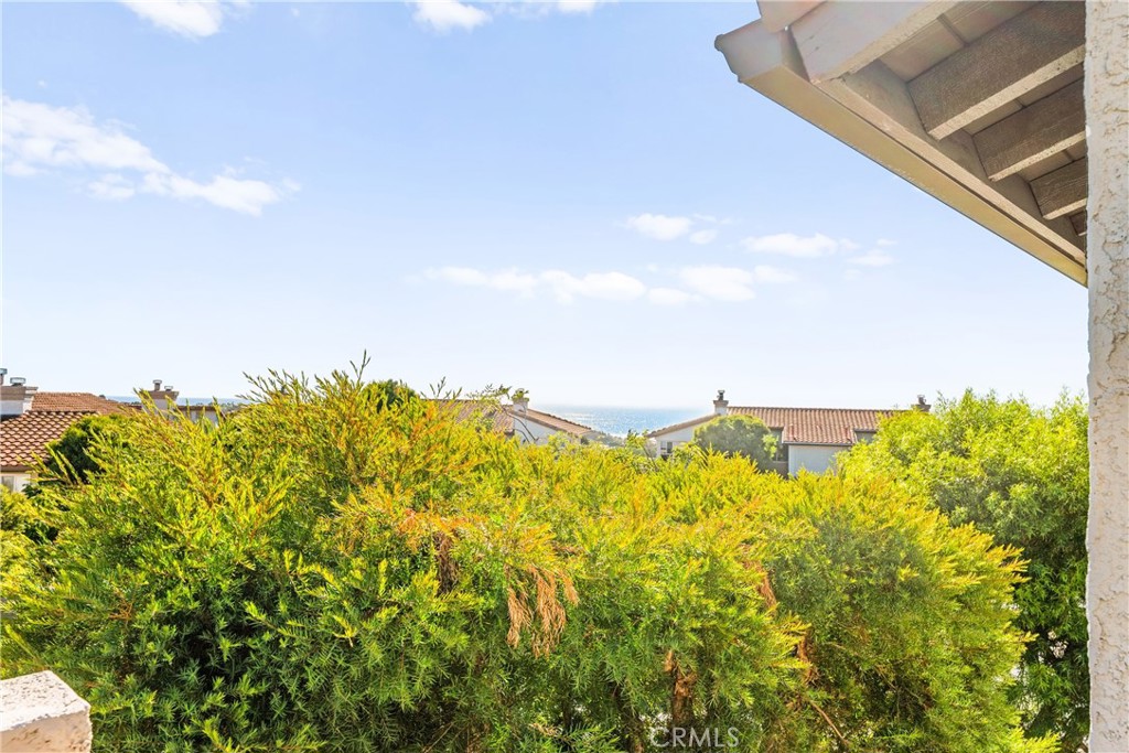 30 Corniche Drive J, Dana Point CA 92629 - photo 8
