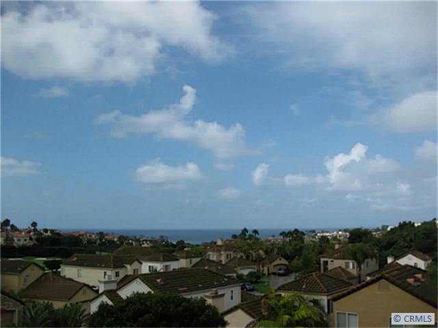 Ocean View from 31 Dauphin - 31 DAUPHIN, Dana Point CA 92629 - photo 1