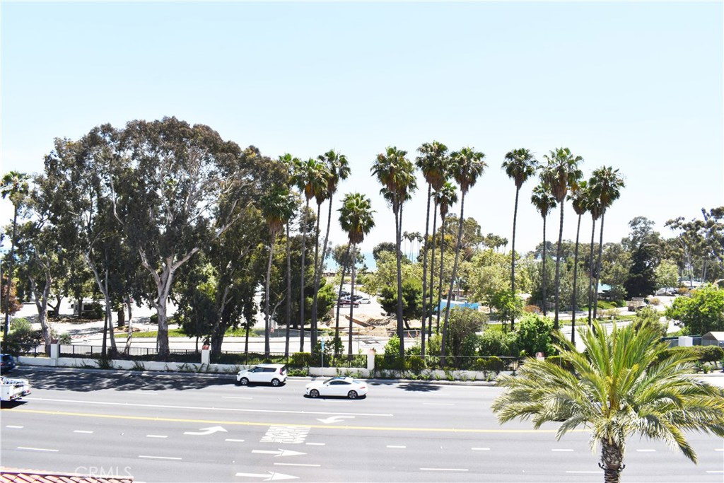 This is the view from the deck!!!! - 3181 Doheny Way, Dana Point CA 92629 - photo 1