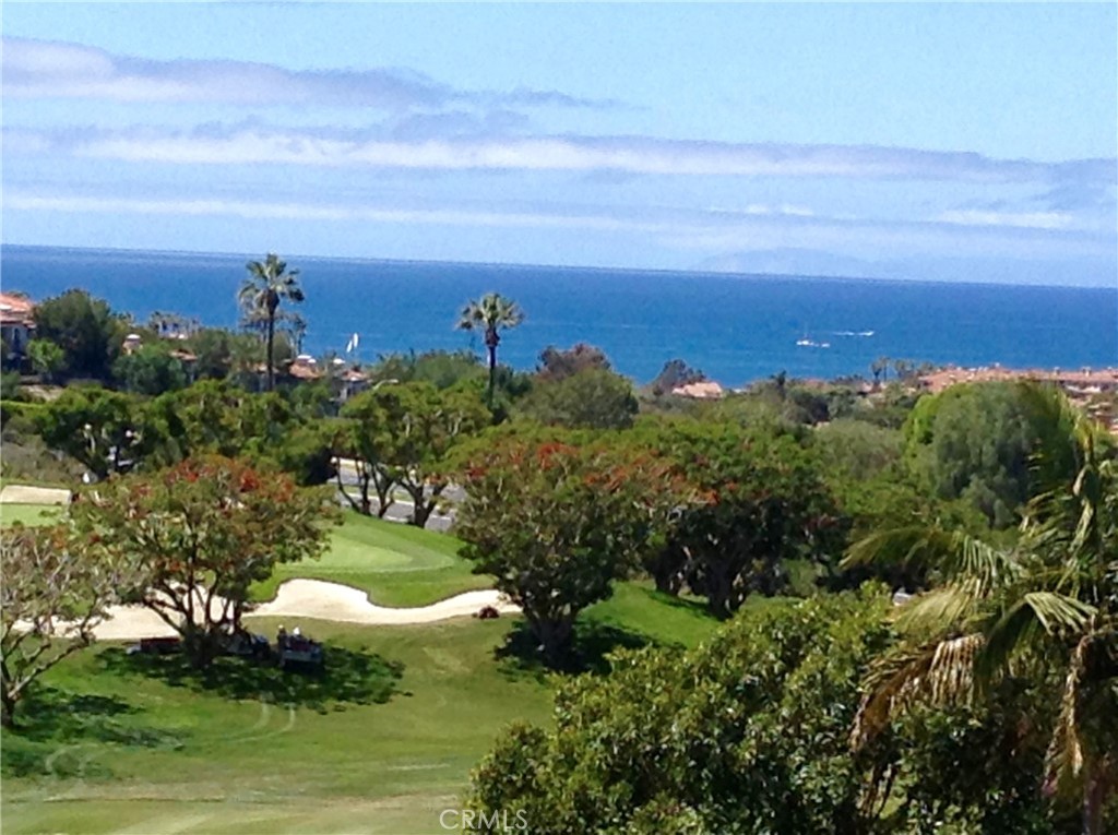 32 Dauphin, Dana Point CA 92629 - photo 6