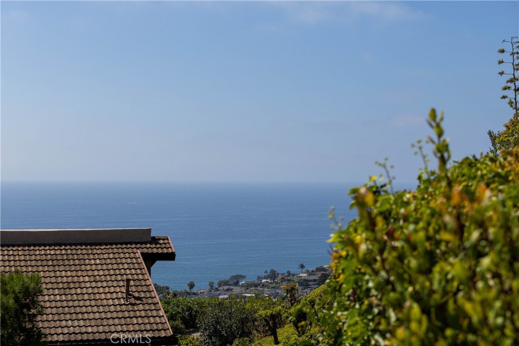 32201 Sea Island, Dana Point CA 92629 - photo 16