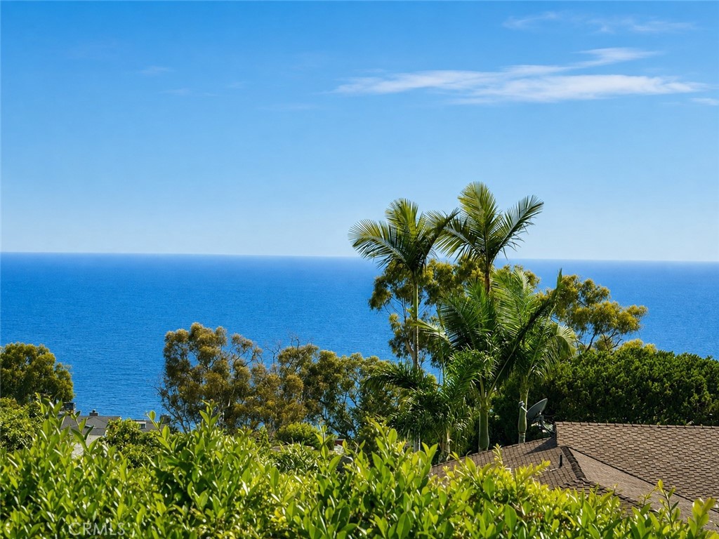 Wake up every morning to the sea - 32355 Via Antibes, Dana Point CA 92629 - photo 5