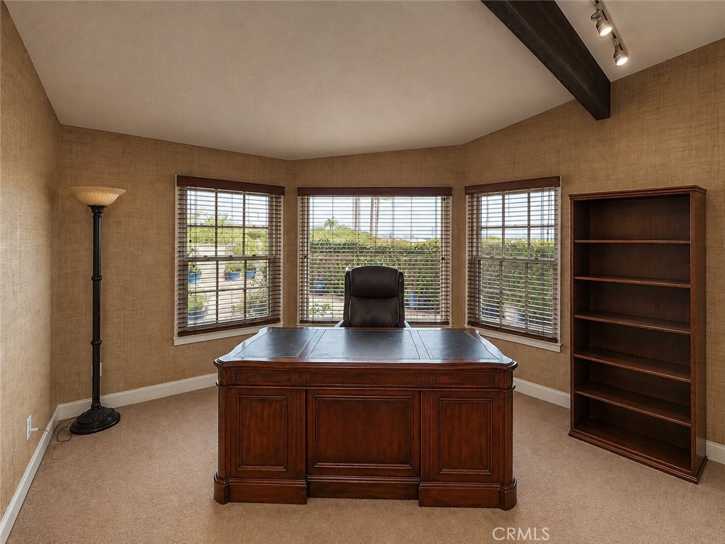 A great home office - 32355 Via Antibes, Dana Point CA 92629 - photo 48