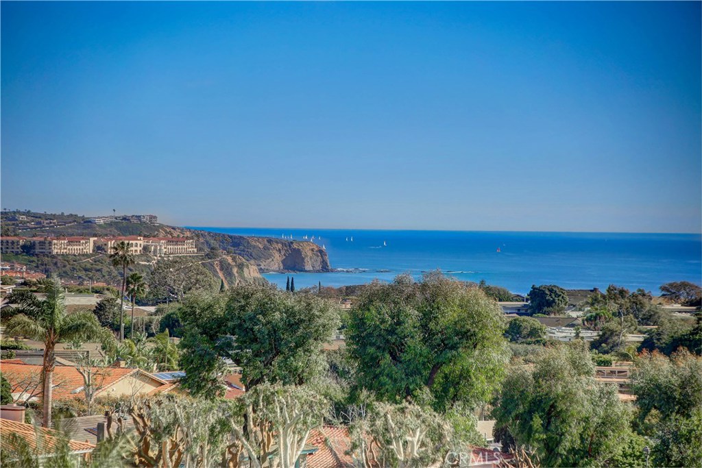 32372 Via Mentone, Dana Point CA 92629 - photo 1