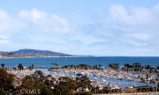 NEARBY MARINA AT DANA POINT WITH SHOPS AND RESTAURANTS - 32572 Balearic, Dana Point CA 92629 - photo 25