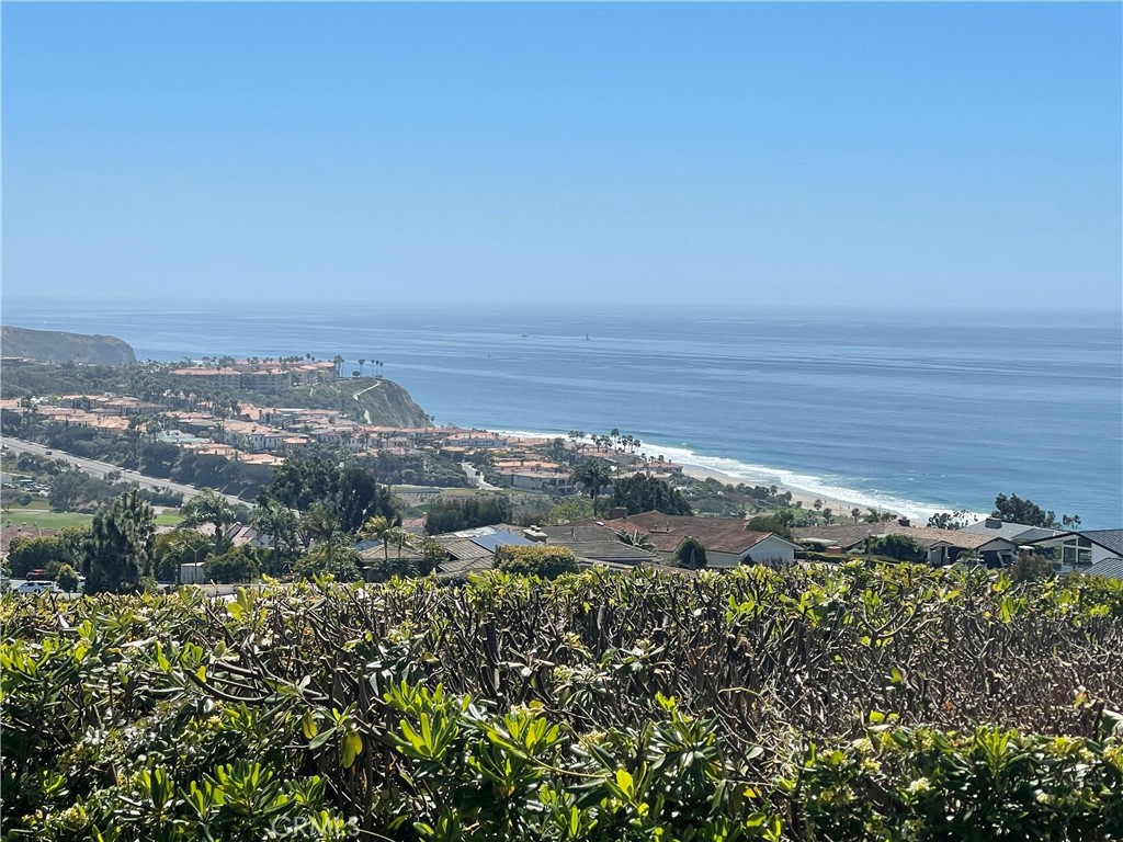 View from back corner - 32592 Balearic Road, Dana Point CA 92629 - photo 1