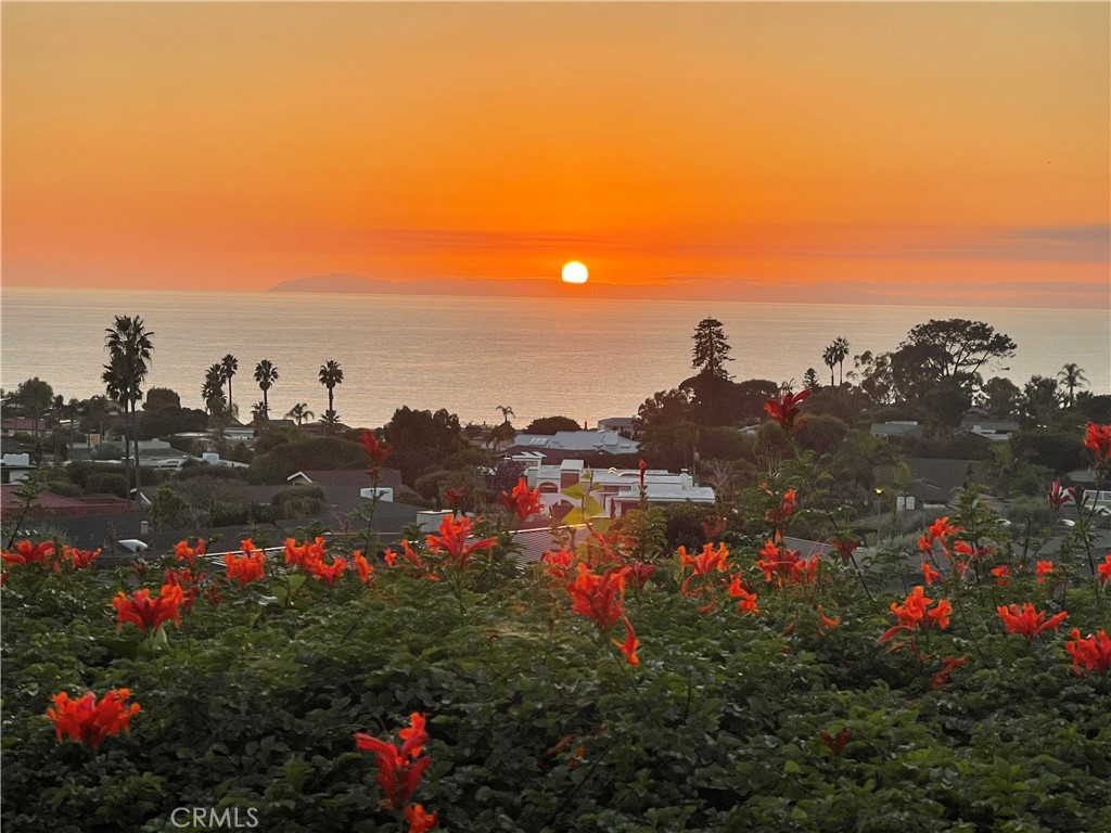 Magnificent Sunsets from the entire back of the home and more - 32611 Mediterranean Drive, Dana Point CA 92629 - photo 41