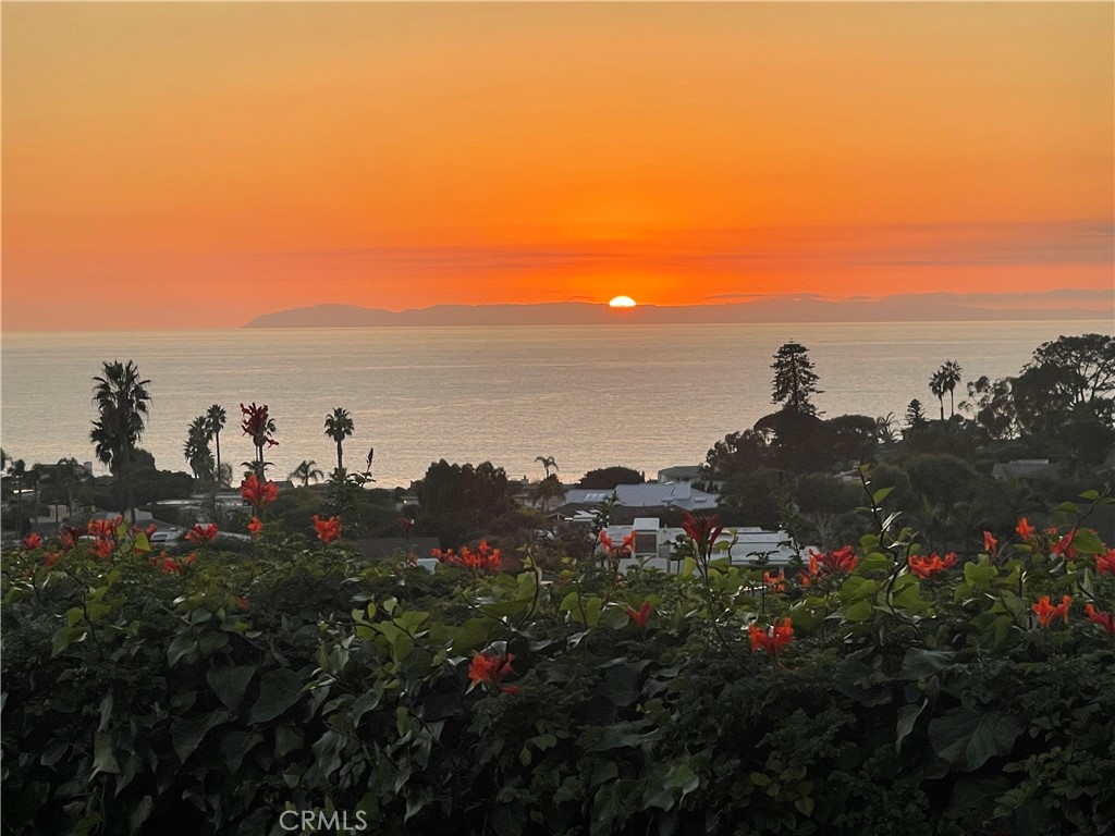 32611 Mediterranean Drive, Dana Point CA 92629 - photo 42