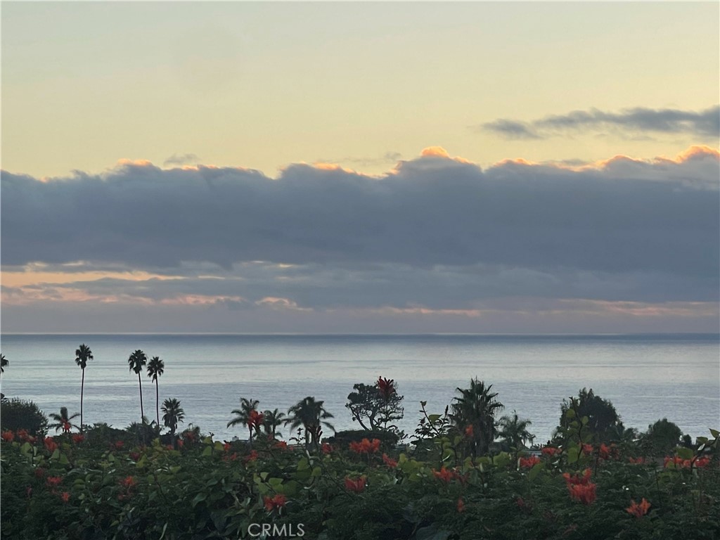 32611 Mediterranean Drive, Dana Point CA 92629 - photo 43