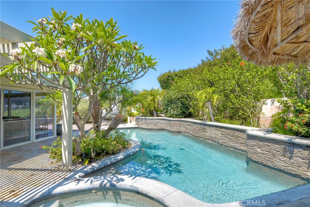 Graceful pebble tech pool graces the back yard, waterfall feature pours over back wall of pool. Beautiful Plumeria tree - 32641 ADRIATIC Drive, Dana Point CA 92629 - photo 1