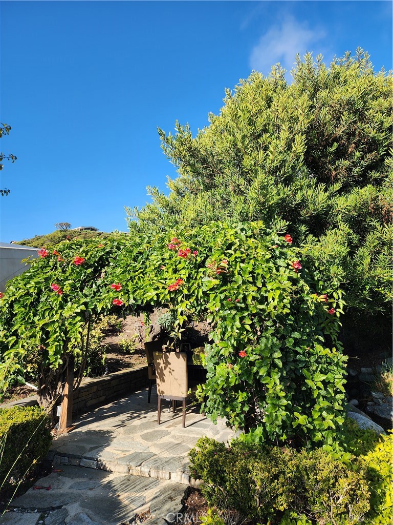 32732 Mediterranean Drive, Dana Point CA 92629 - photo 18