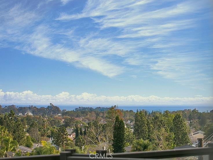 32771 Ocean Vista Court, Dana Point CA 92629 - photo 1