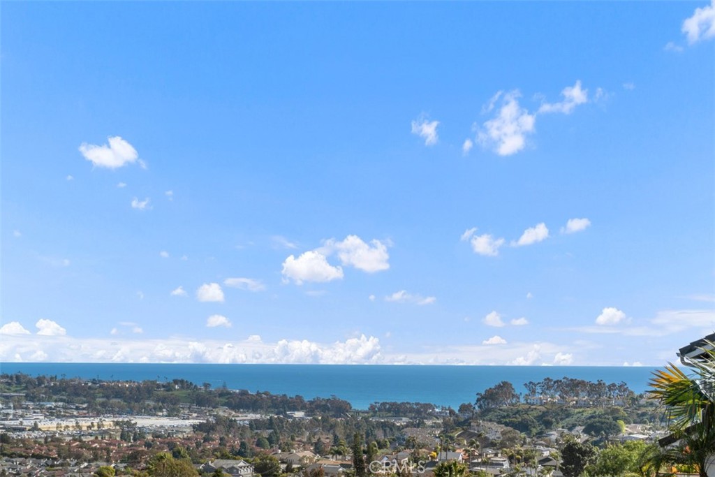 32922 Danapoplar, Dana Point CA 92629 - photo 1