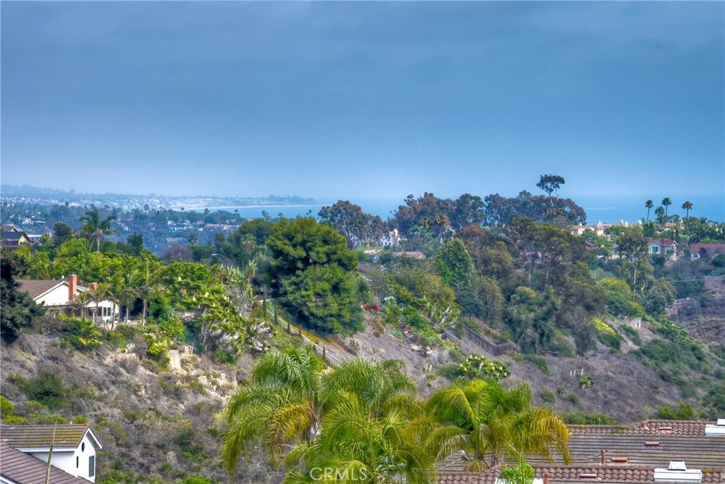Long range lens shows detail of views from this beautiful home - 33042 Ocean Ridge 68, Dana Point CA 92629 - photo 1