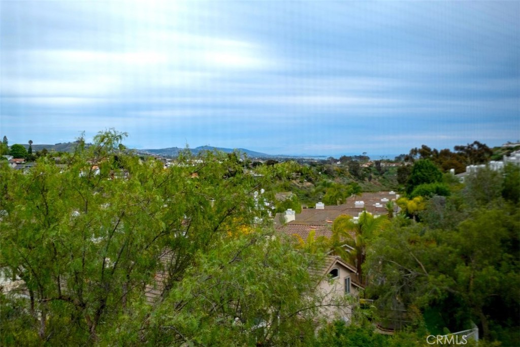View from Master Bedroom. - 33042 Ocean Ridge 68, Dana Point CA 92629 - photo 1