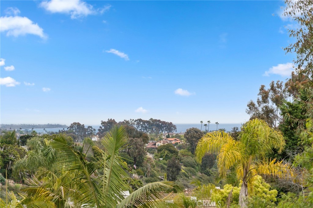 Beautiful coastline and canyon views. - 33046 Ocean Ridge, Dana Point CA 92629 - photo 1