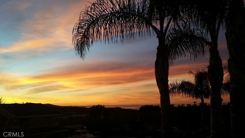 Enjoy AMAZING OCEAN AND SUNRISE VIEWS FROM YOUR MASTER BEDROOM BALCONY. - 33101 Mesa Vista Drive, Dana Point CA 92629 - photo 1