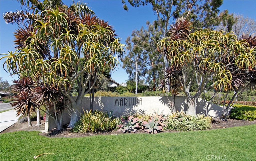 Marluna Entry - 33101 Seawatch Drive, Dana Point CA 92629 - photo 1