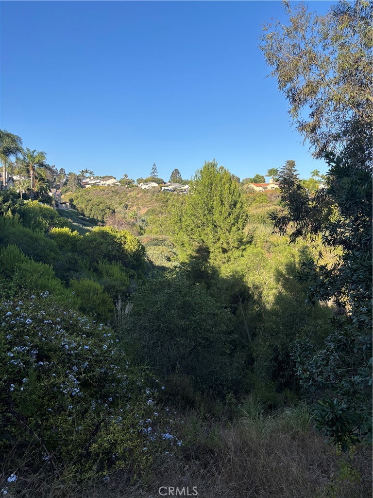 33146 Ocean 89, Dana Point CA 92629 - photo 9