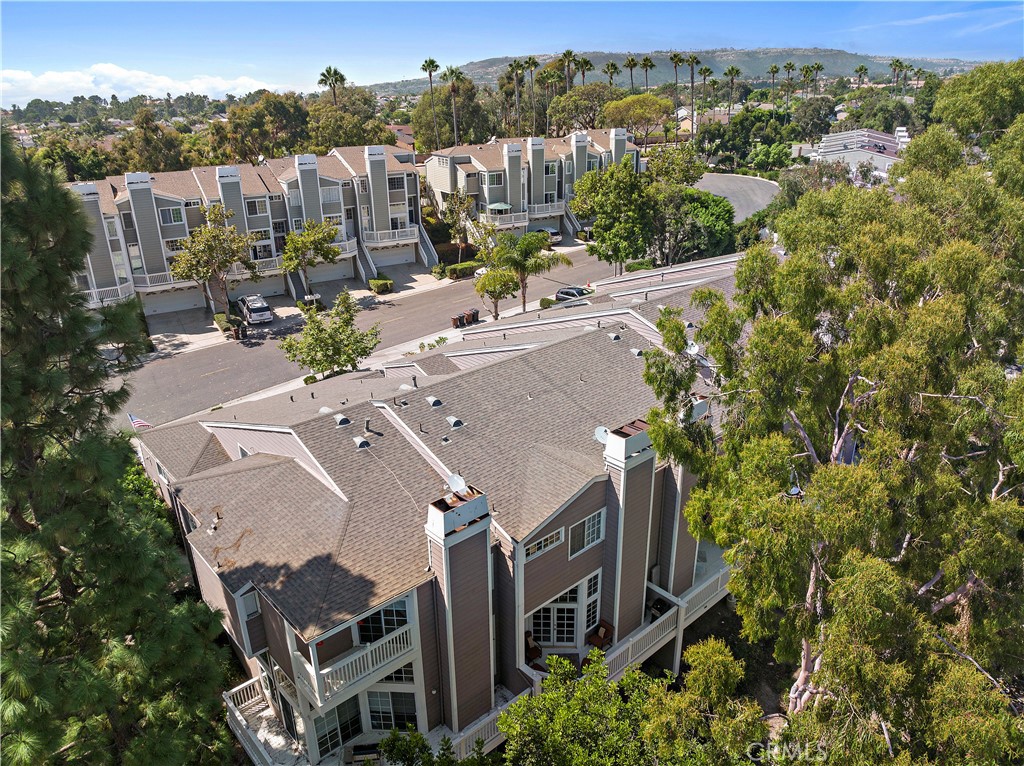 33172 Ocean Bright, Dana Point CA 92629 - photo 38