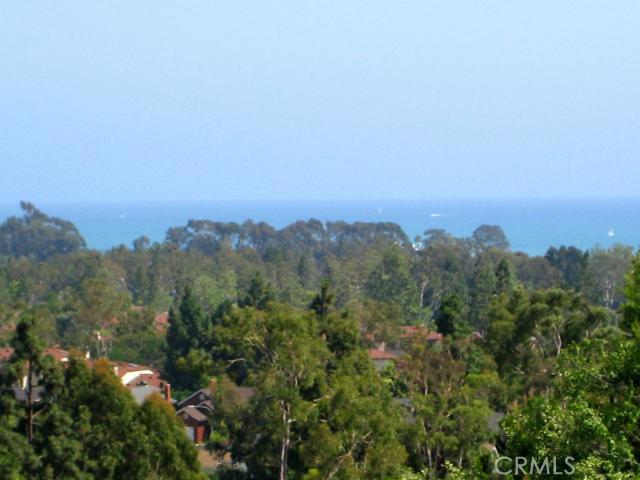 33222 Palo Alto Street, Dana Point CA 92629 - photo 1