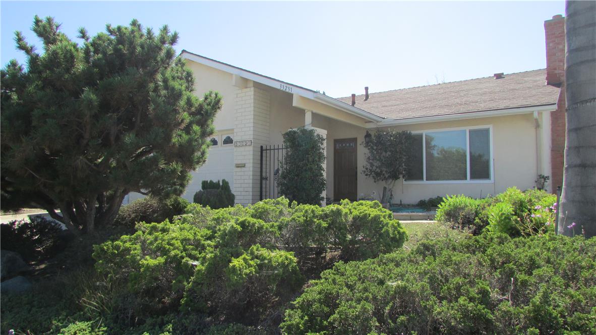 33231 Elisa Drive, Dana Point CA 92629 - photo 1
