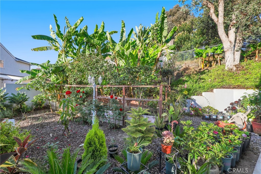 33262 Questa Way, Dana Point CA 92629 - photo 42