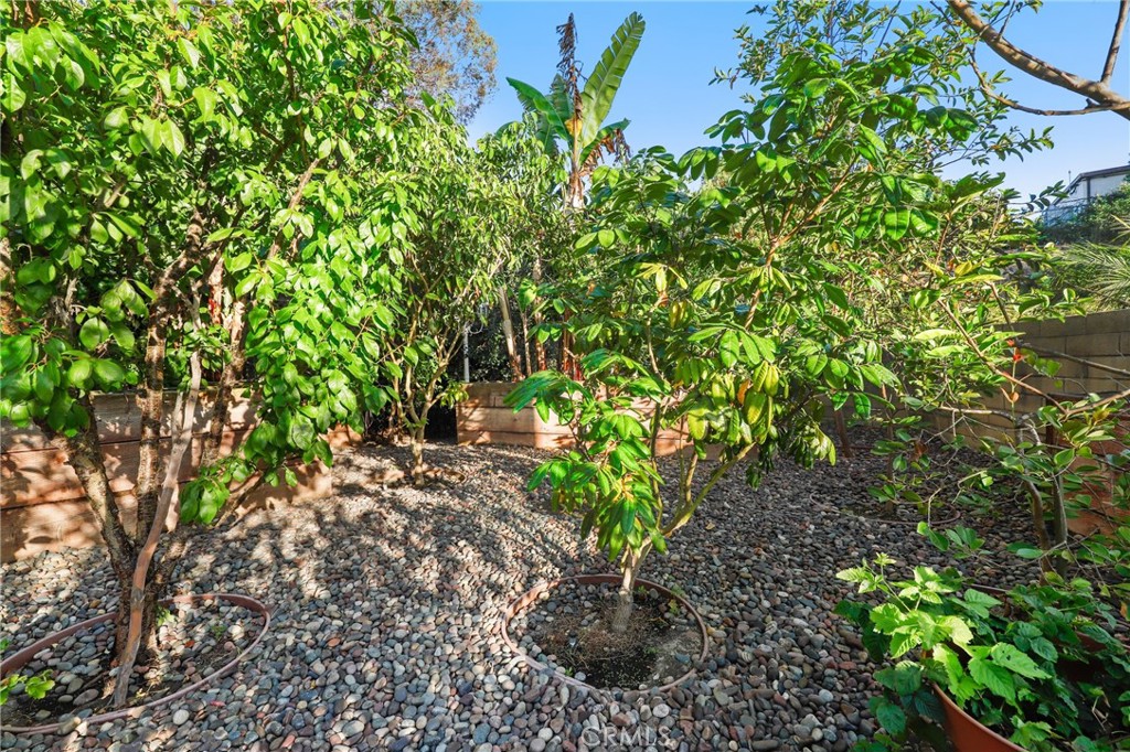 33262 Questa Way, Dana Point CA 92629 - photo 49