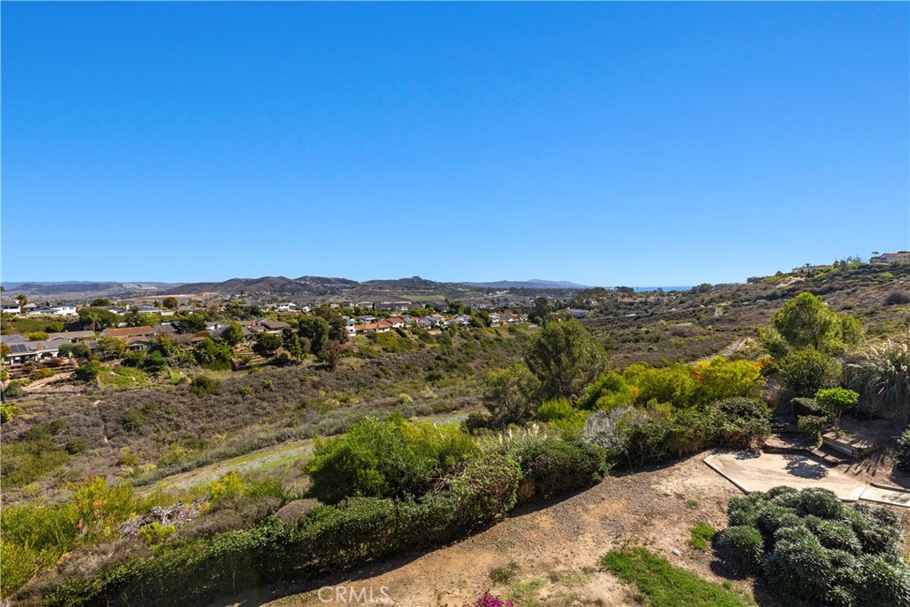 View from primary bedroom - 33292 Ocean Ridge, Dana Point CA 92629 - photo 8