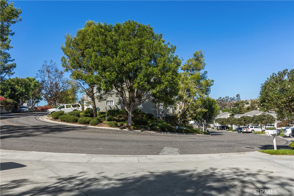 Great Location in Neighborhood. - 33292 Ocean Ridge, Dana Point CA 92629 - photo 9