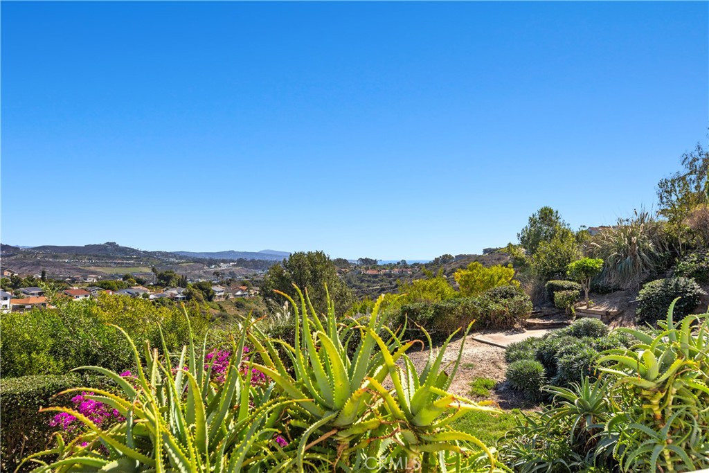 View from deck - 33292 Ocean Ridge, Dana Point CA 92629 - photo 27