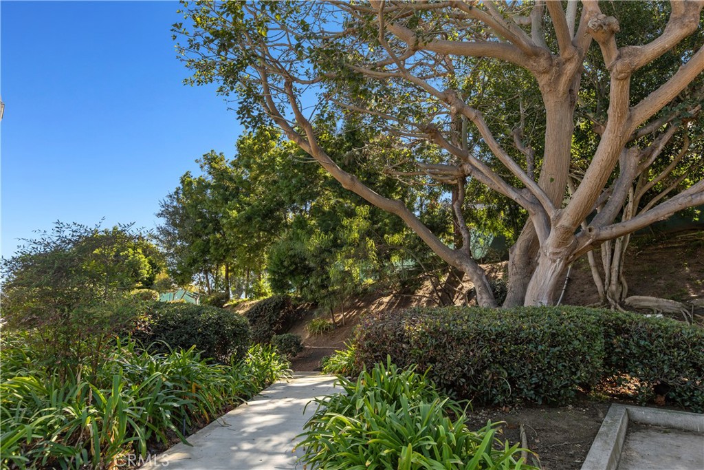 Lush, mature community landscaping - 33292 Ocean Ridge, Dana Point CA 92629 - photo 37