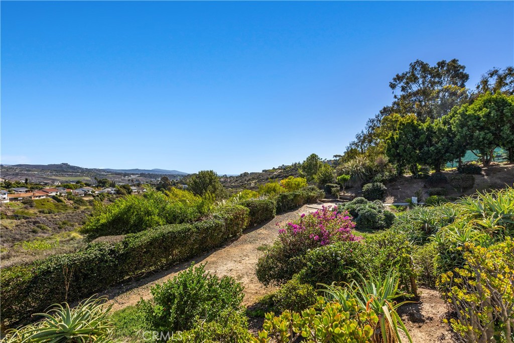33292 Ocean Ridge, Dana Point CA 92629 - photo 38
