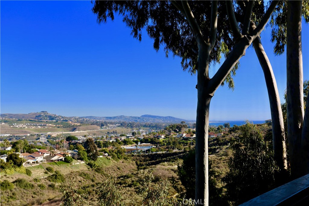 33362 Cheltam Way, Dana Point CA 92629 - photo 1