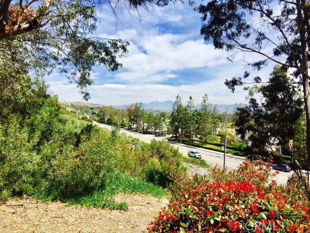33402 Valley View Court 1, Dana Point CA 92629 - photo 1