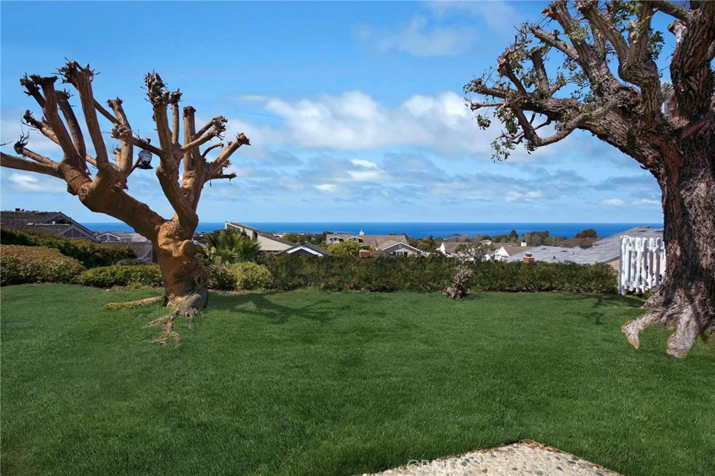 SIT-DOWN OCEAN VIEW - 33411 Cockleshell Drive, Dana Point CA 92629 - photo 1