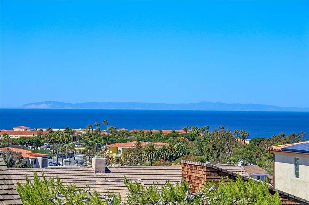 33441 Cockleshell Drive, Dana Point CA 92629 - photo 1