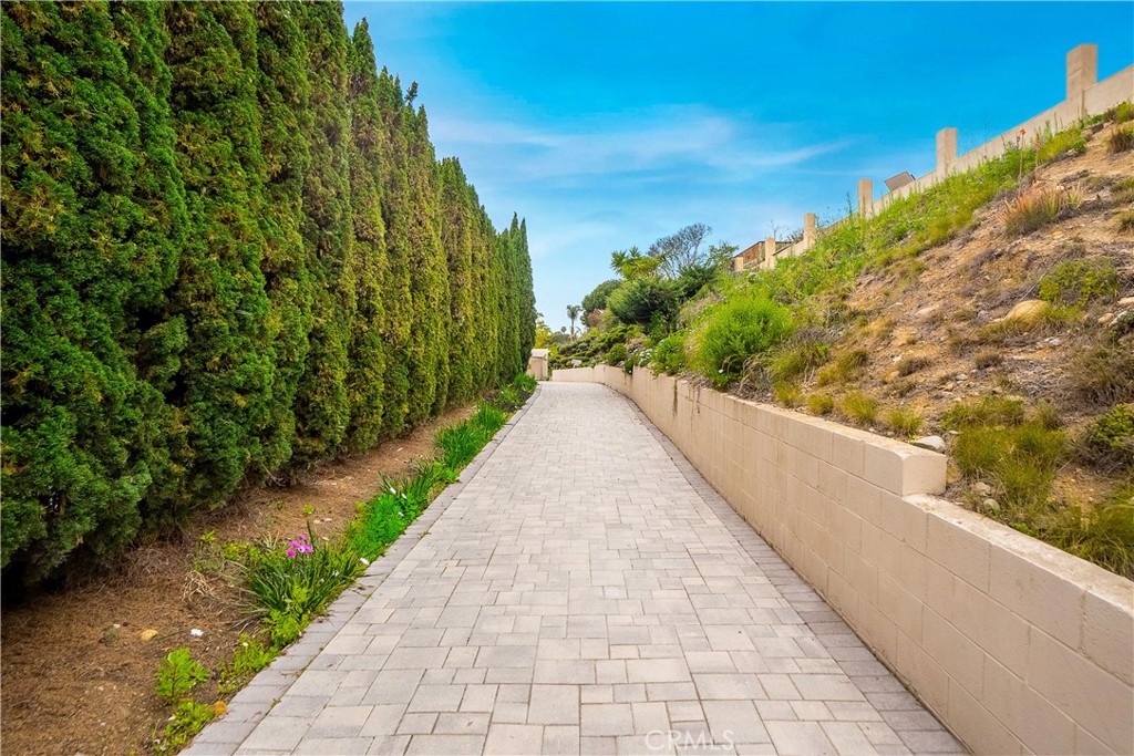 33441 Palo Alto Street, Dana Point CA 92629 - photo 1
