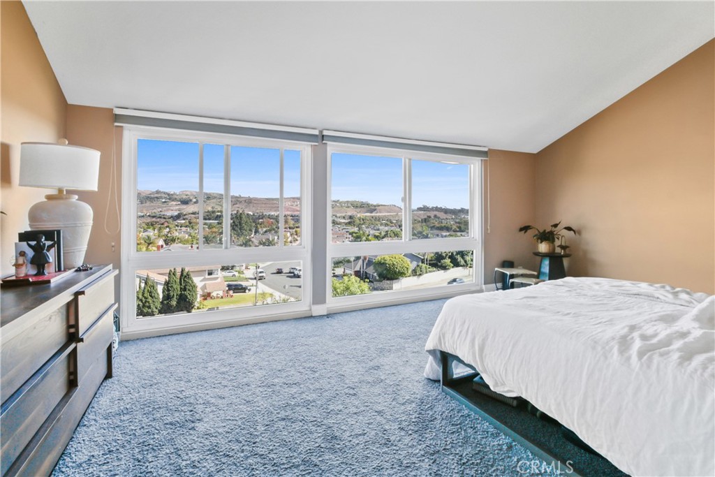 33442 Valley View Court 11, Dana Point CA 92629 - photo 11