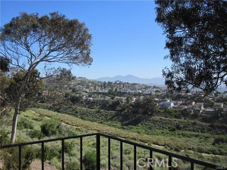 Enjoy nature, fresh air, and tranquil surroundings without leaving your home - 33452 Cheltam Way, Dana Point CA 92629 - photo 1