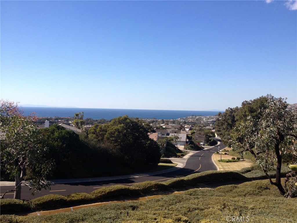 33525 Vista Colina, Dana Point CA 92629 - photo 1