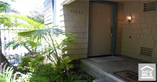 Front Door - 33532 VALLEY VIEW Circle 31, Dana Point CA 92629 - photo 1