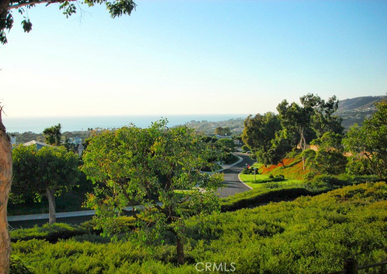 33533 VISTA COLINA 8, Dana Point CA 92629 - photo 1