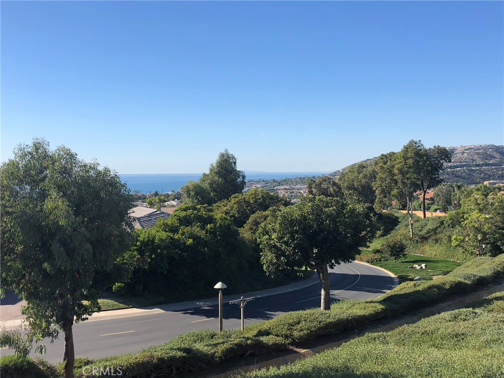 33535 Vista Colina, Dana Point CA 92629 - photo 1