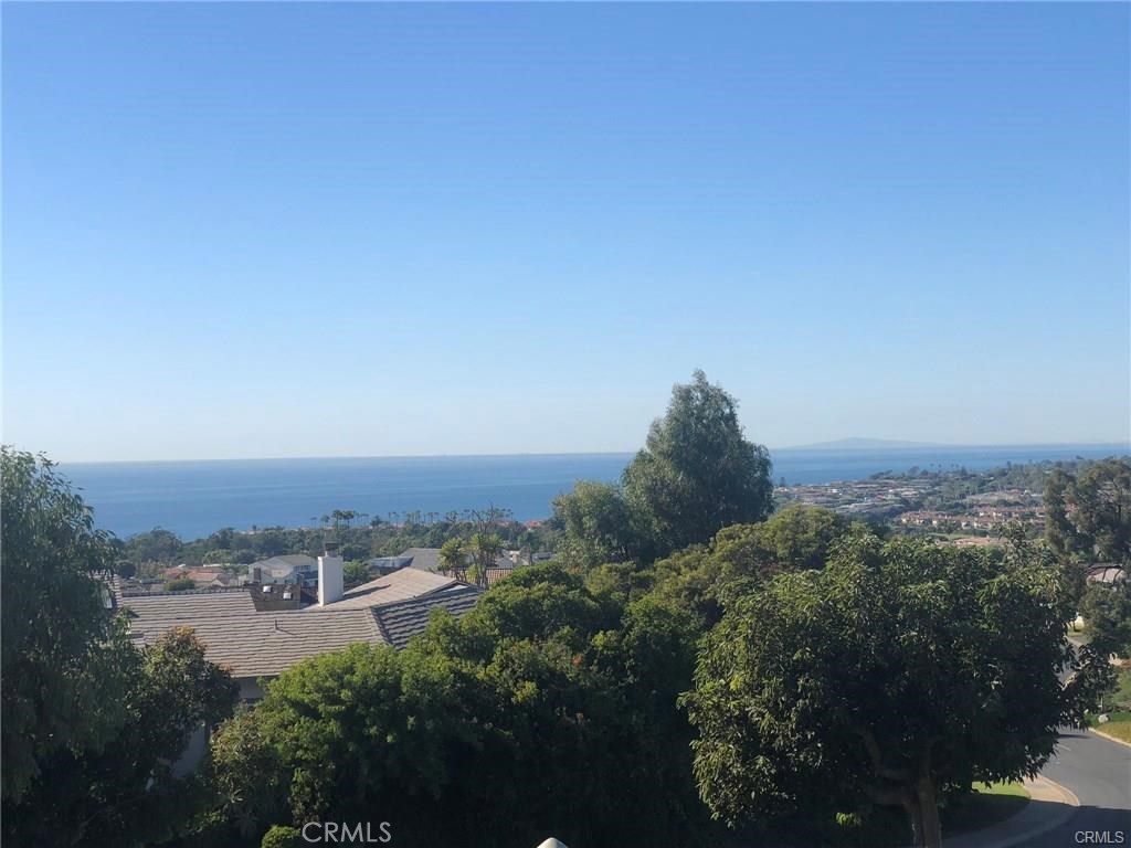 33535 Vista Colina, Dana Point CA 92629 - photo 1