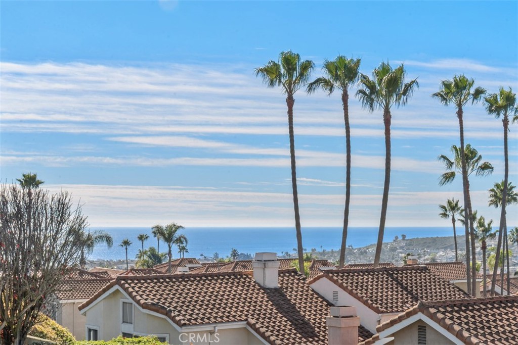 33541 Spin Drift Court, Dana Point CA 92629 - photo 1